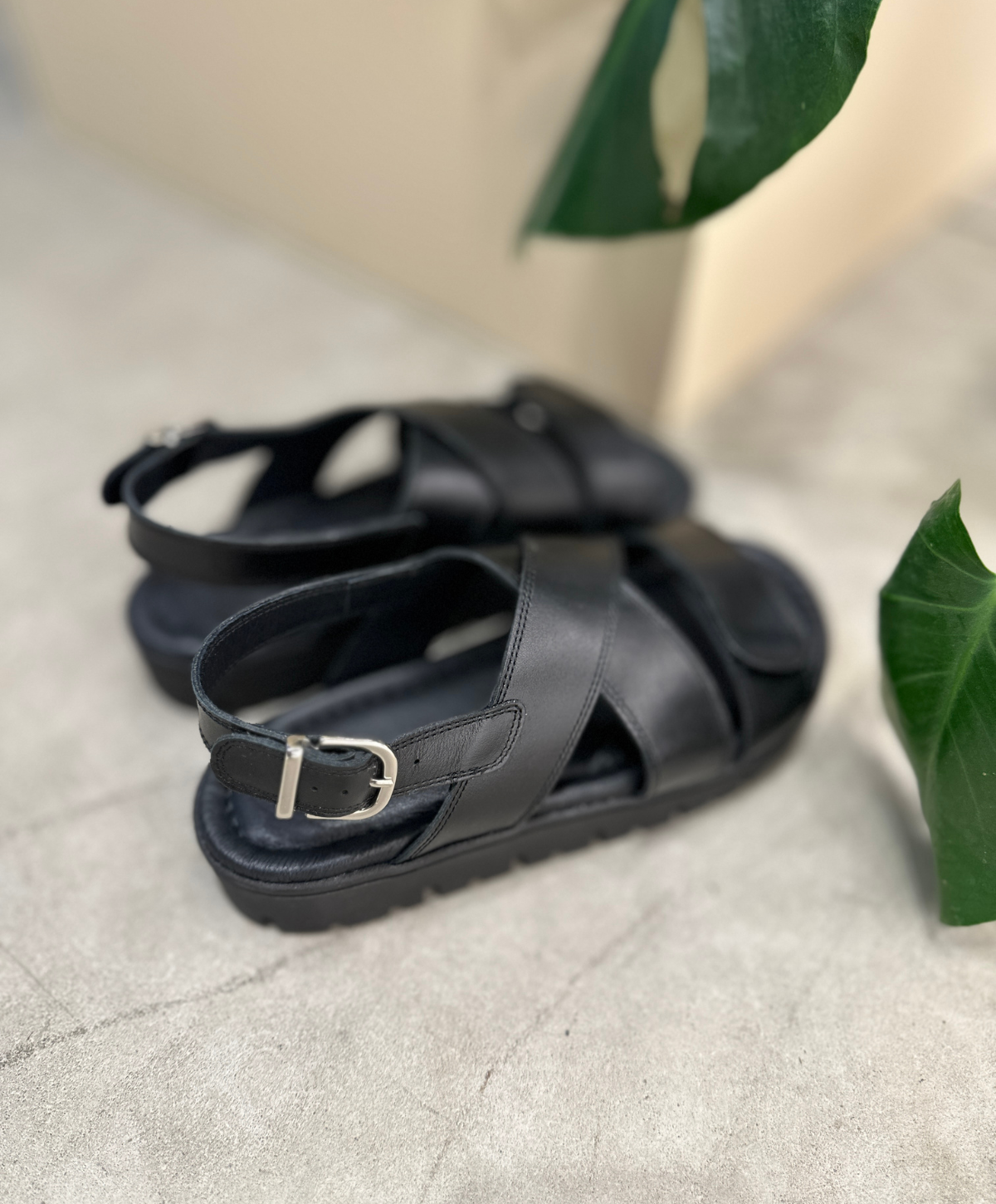 Sort lædersandal fra Shoedesign Copenhagen med krydsremme og justerbar spænde, placeret på en grå overflade ved siden af grønne blade.